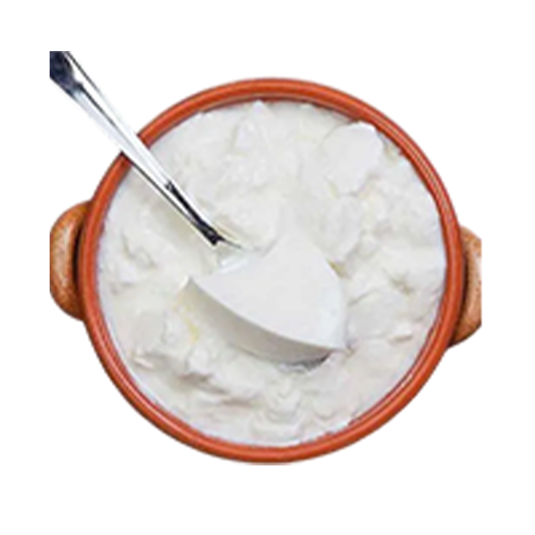 Fresh & Creamy Milk Curd